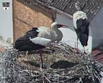 Capi_Dubne_20250502_133503.jpg