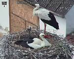 Capi_Dubne_20250502_134503.jpg
