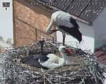 Capi_Dubne_20250502_135003.jpg