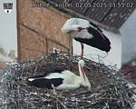 Capi_Dubne_20250502_135502.jpg