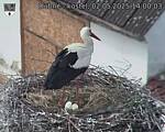 Capi_Dubne_20250502_140003.jpg