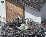 Capi_Dubne_20250502_140503.jpg