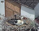 Capi_Dubne_20250502_141002.jpg