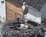 Capi_Dubne_20250502_141503.jpg
