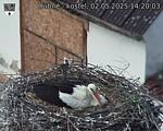 Capi_Dubne_20250502_142003.jpg