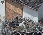 Capi_Dubne_20250502_142503.jpg