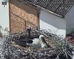 Capi_Dubne_20250502_143003.jpg