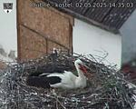 Capi_Dubne_20250502_143503.jpg