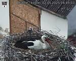 Capi_Dubne_20250502_144503.jpg