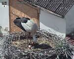 Capi_Dubne_20250502_145503.jpg
