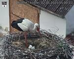 Capi_Dubne_20250502_150003.jpg