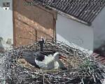 Capi_Dubne_20250502_150503.jpg