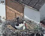 Capi_Dubne_20250502_151003.jpg