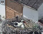 Capi_Dubne_20250502_151503.jpg