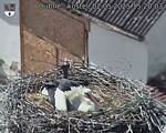 Capi_Dubne_20250502_152003.jpg