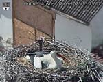 Capi_Dubne_20250502_152502.jpg