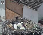Capi_Dubne_20250502_153003.jpg