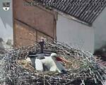 Capi_Dubne_20250502_153503.jpg