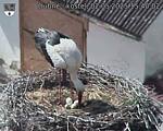 Capi_Dubne_20250502_154002.jpg