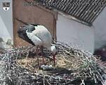 Capi_Dubne_20250502_154503.jpg
