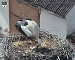 Capi_Dubne_20250502_155003.jpg