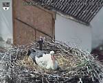 Capi_Dubne_20250502_160003.jpg