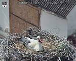 Capi_Dubne_20250502_160503.jpg