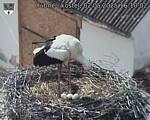 Capi_Dubne_20250502_161002.jpg