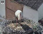 Capi_Dubne_20250502_161502.jpg