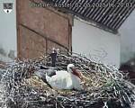 Capi_Dubne_20250502_162003.jpg