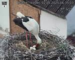 Capi_Dubne_20250502_163503.jpg