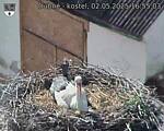 Capi_Dubne_20250502_165503.jpg