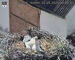 Capi_Dubne_20250502_170003.jpg