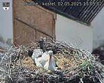 Capi_Dubne_20250502_170503.jpg