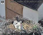 Capi_Dubne_20250502_171003.jpg
