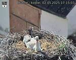 Capi_Dubne_20250502_171503.jpg