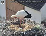 Capi_Dubne_20250502_172003.jpg