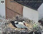 Capi_Dubne_20250502_172503.jpg