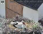 Capi_Dubne_20250502_173003.jpg
