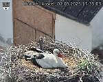 Capi_Dubne_20250502_173503.jpg