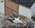 Capi_Dubne_20250502_174003.jpg