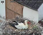 Capi_Dubne_20250502_175003.jpg
