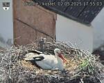 Capi_Dubne_20250502_175503.jpg
