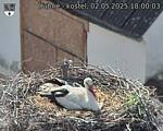 Capi_Dubne_20250502_180003.jpg