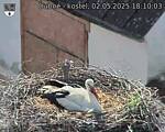 Capi_Dubne_20250502_181003.jpg