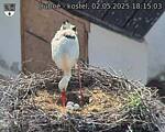 Capi_Dubne_20250502_181503.jpg