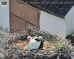 Capi_Dubne_20250502_182003.jpg