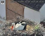 Capi_Dubne_20250502_183002.jpg