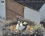 Capi_Dubne_20250502_184003.jpg