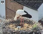 Capi_Dubne_20250502_185502.jpg